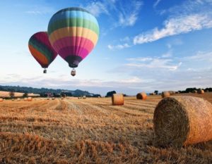 hot air balloons flying over field with hay bales
