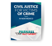 Civil Justice For Victims of Crime pdf cover